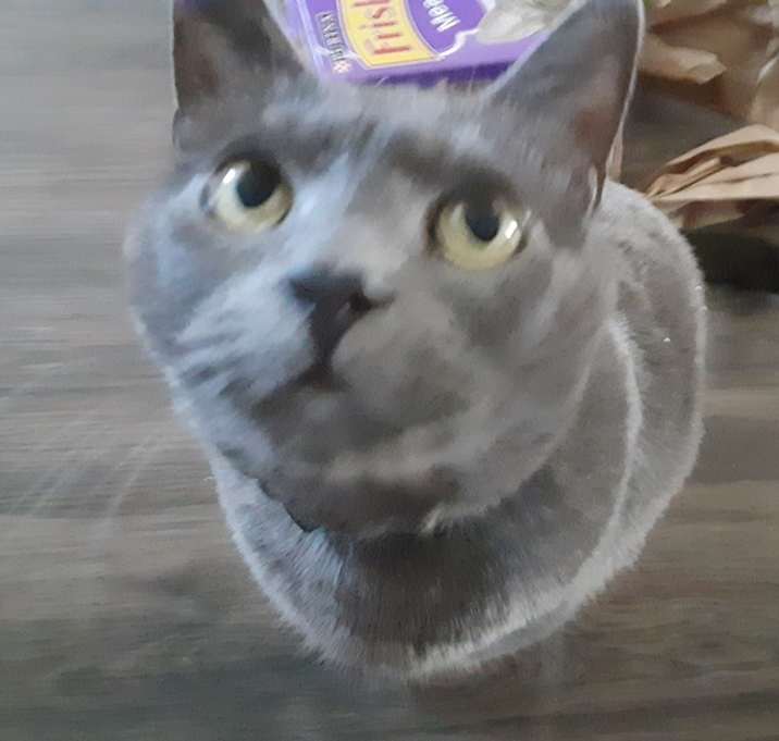 Photo of Whiskey rivers