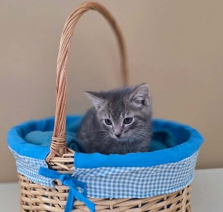 Photo of Oogie Boogie