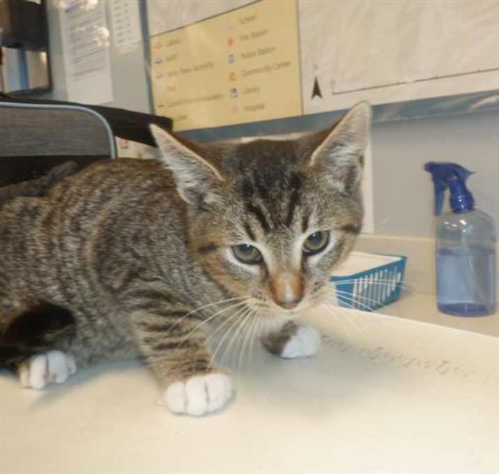 Photo of THE WEEKEND