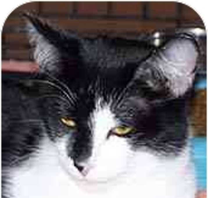 Photo of Grace