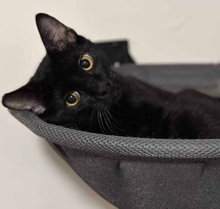 Photo of Ennui (with Letto)