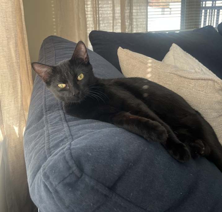 Photo of Veronica Lodge