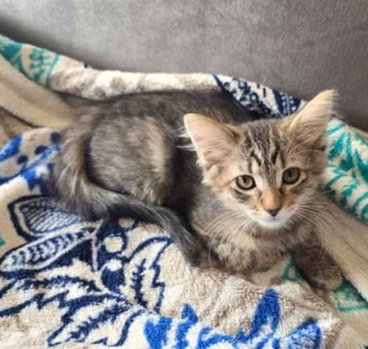 Photo of Elizabeth Carolina