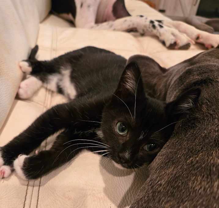 Photo of Steven (Sylvia's) 