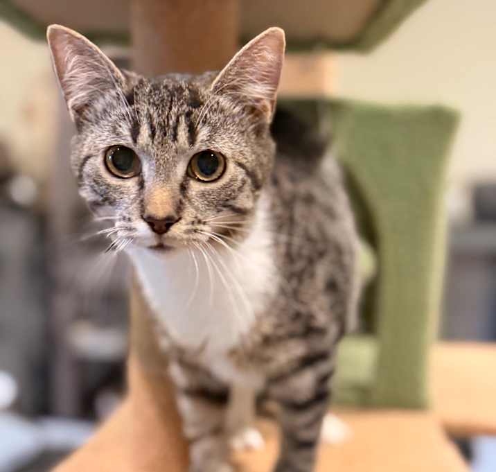 Photo of 1125-145 Mobi 🎄