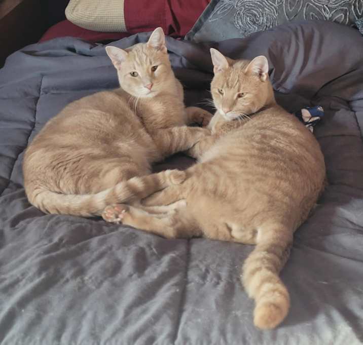 Photo of Kumal & Sanga