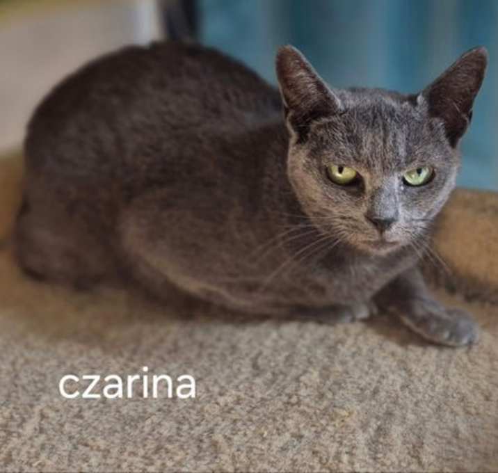 Photo of Czarina