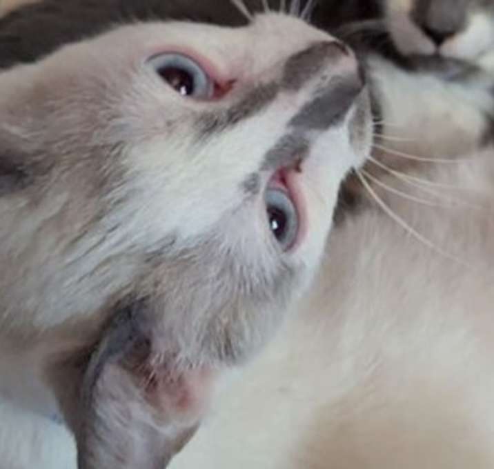 Photo of Penny Benny Lenny