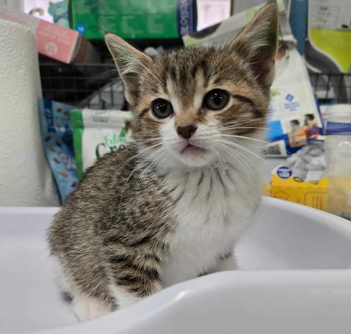 Photo of Penelope #402