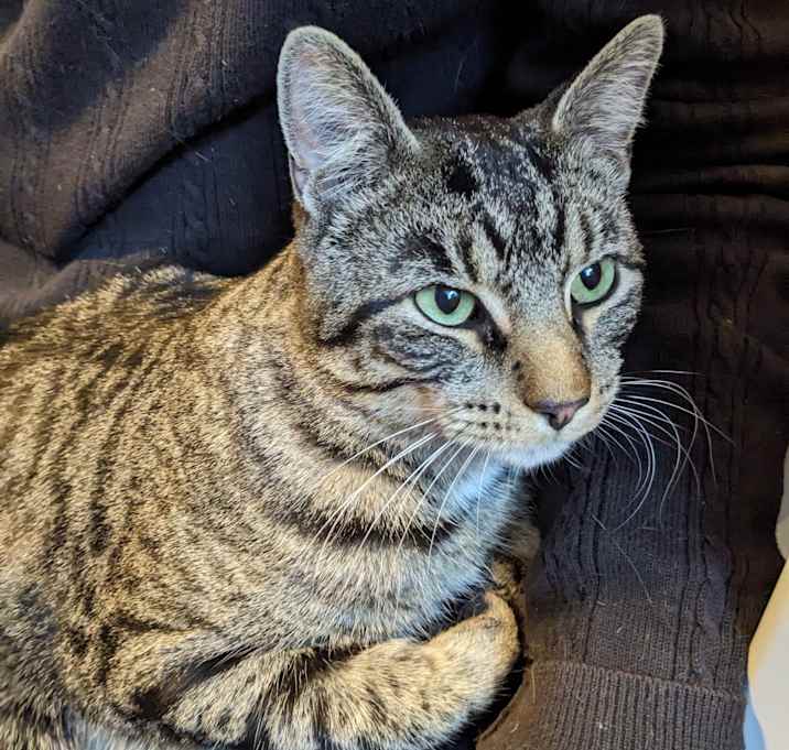 Photo of Franklin Beans