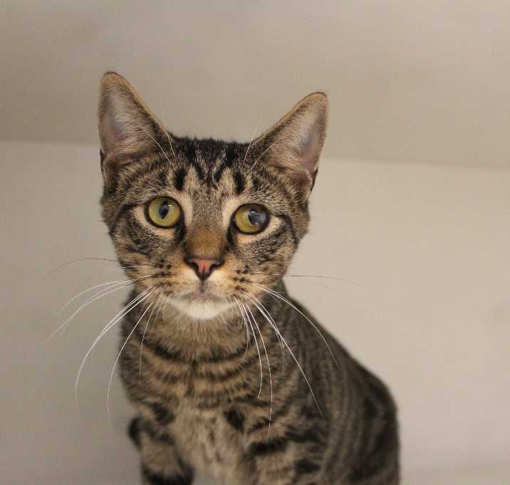 Photo of BenDeLaCreme