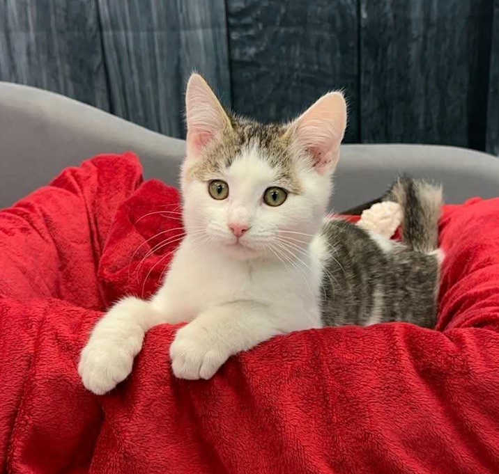 Photo of Cranberry Sauce