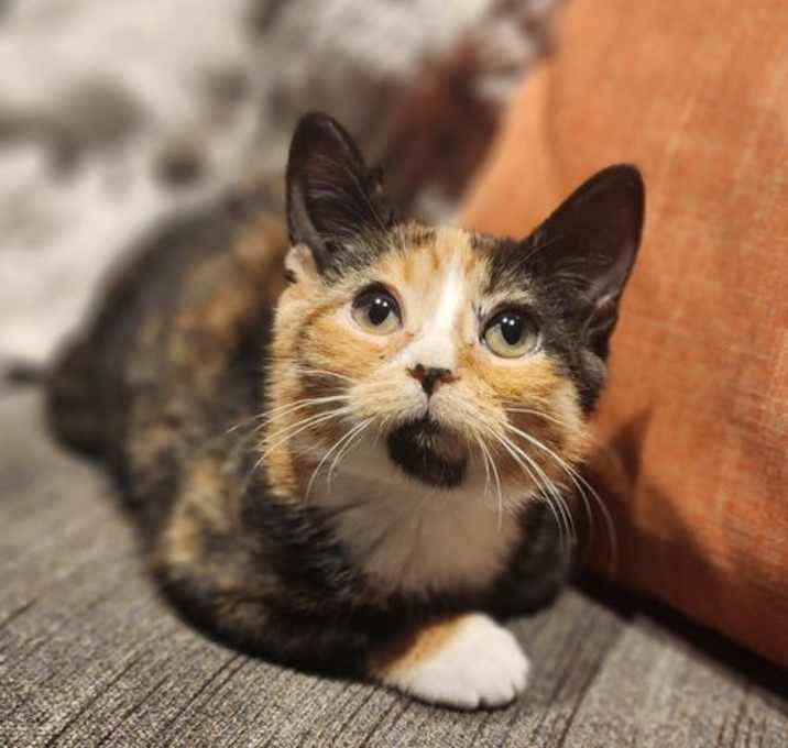 Photo of Elizabeth (FCID 11/04/2025 - 136)