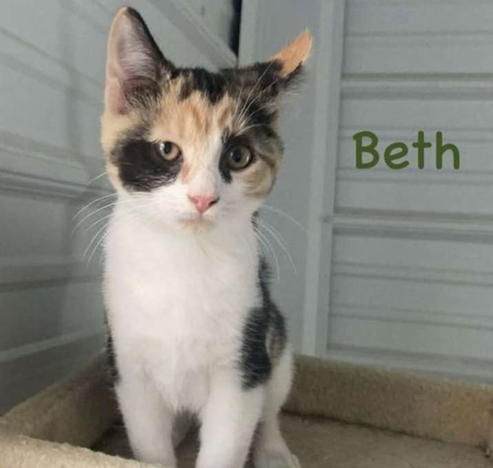 Photo of Beth