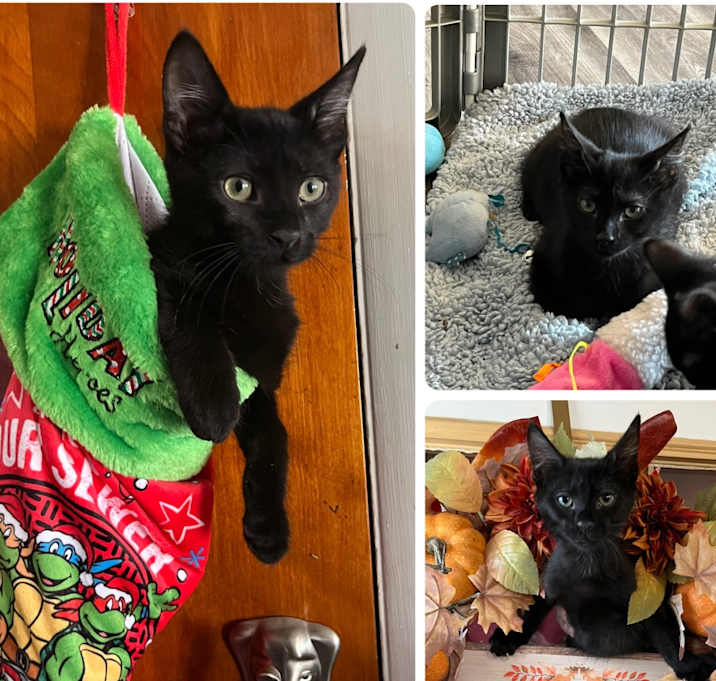 Photo of Rome (paired with Rio)