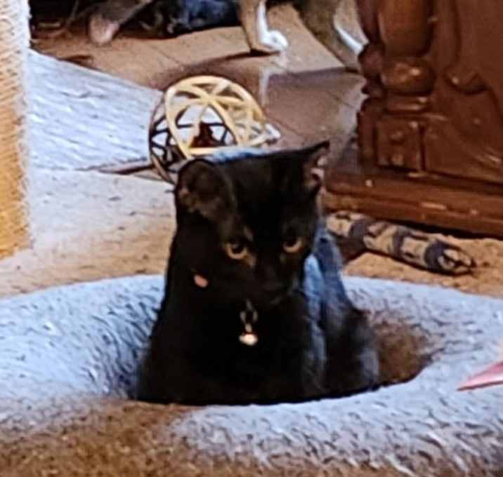 Photo of Dear Prudence