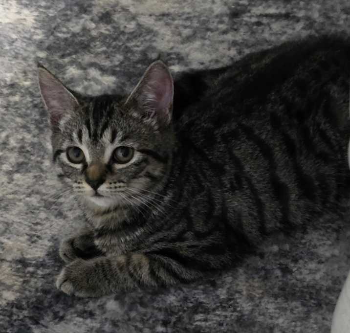 Photo of Cider (bonded with Pumpkin Latte)