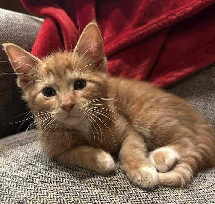 Photo of (ee) Twinkle