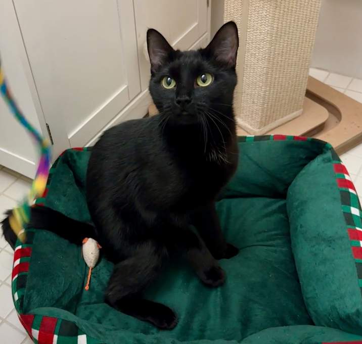 Photo of Bette Davis