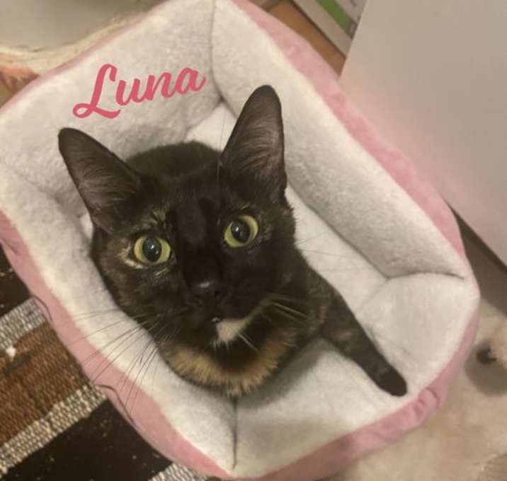Photo of Luna #full-of-surprises