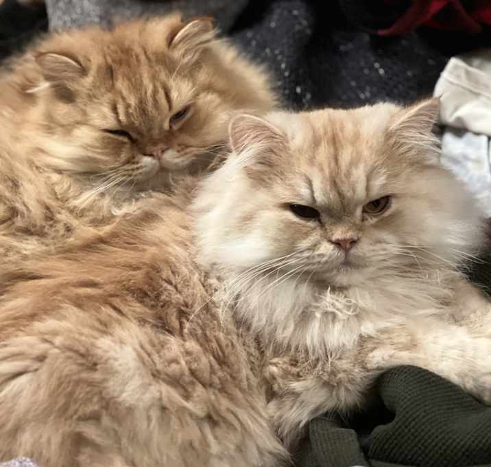 Photo of Choni and Whiskey