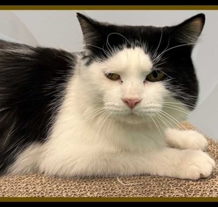 Photo of MILK CARTON