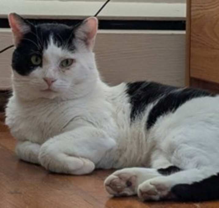 Photo of Slurms MacKenzie