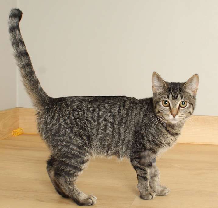 Photo of Prue C67200