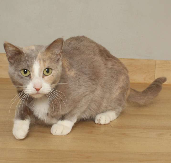 Photo of Kaleidoscope C67422