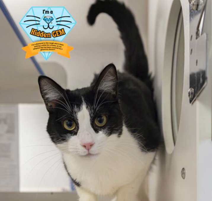 Photo of Penny Lane *Hidden Gem*