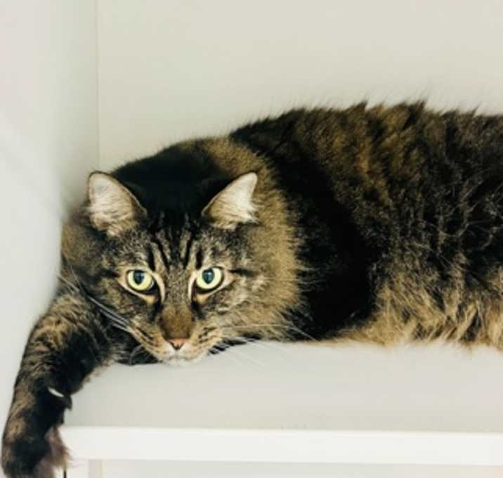 Photo of Peter Quince