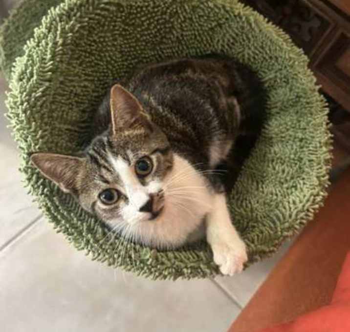 Photo of Louie & Leo