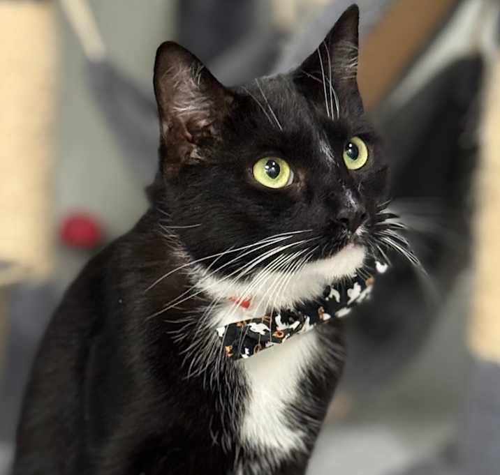 Photo of Jackson aka Jaxon