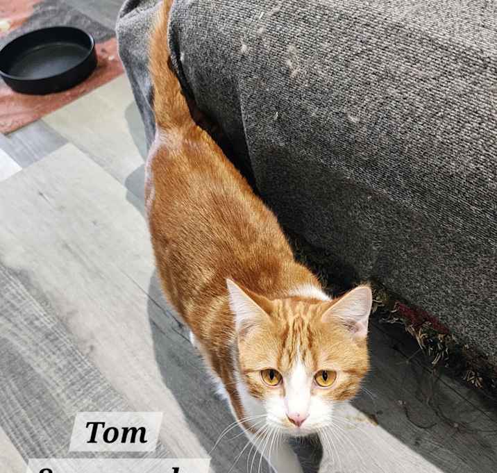 Photo of Tom Tom