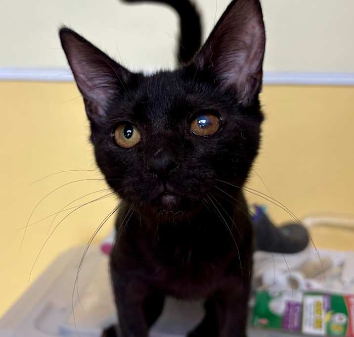 Photo of Fenella Abner