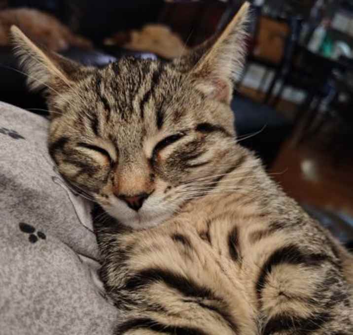 Photo of GEORGIA FAY