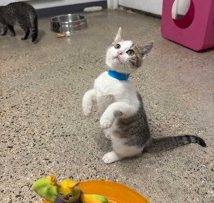 Photo of Jason Voorhees