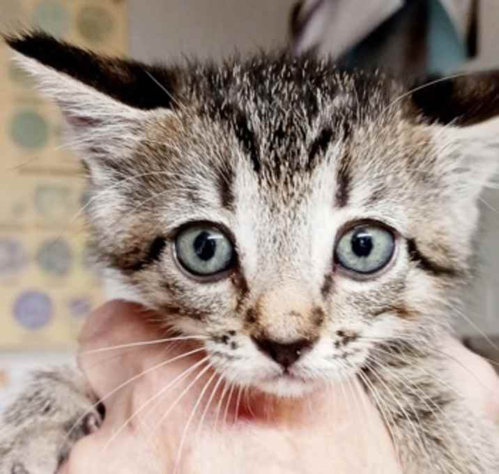 Photo of Nicky 102025