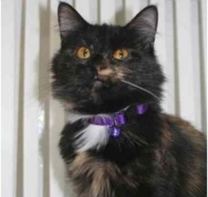 Photo of Marcie