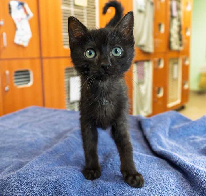 Photo of Movie Theater