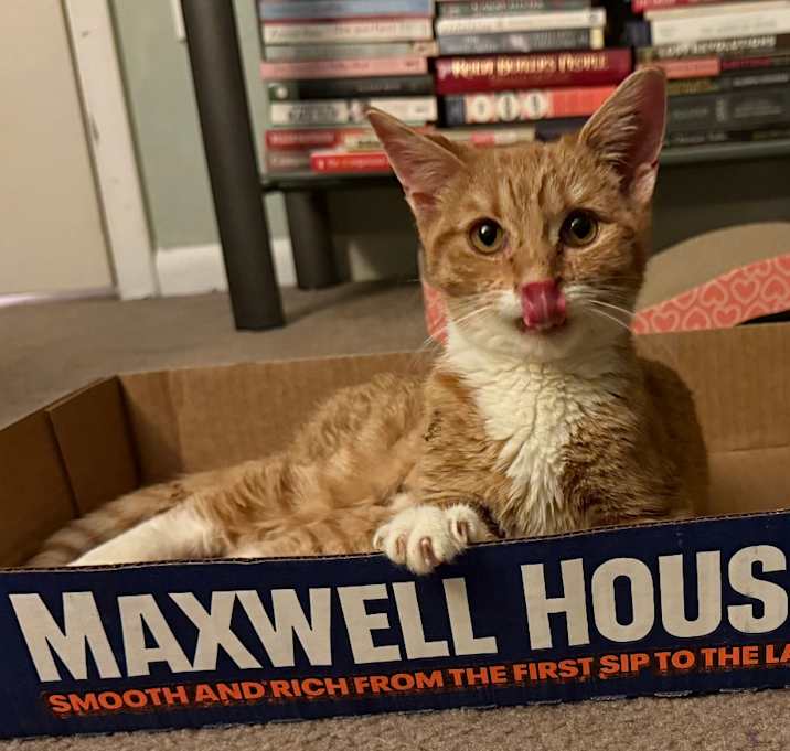 Photo of 1125-16 Patsy