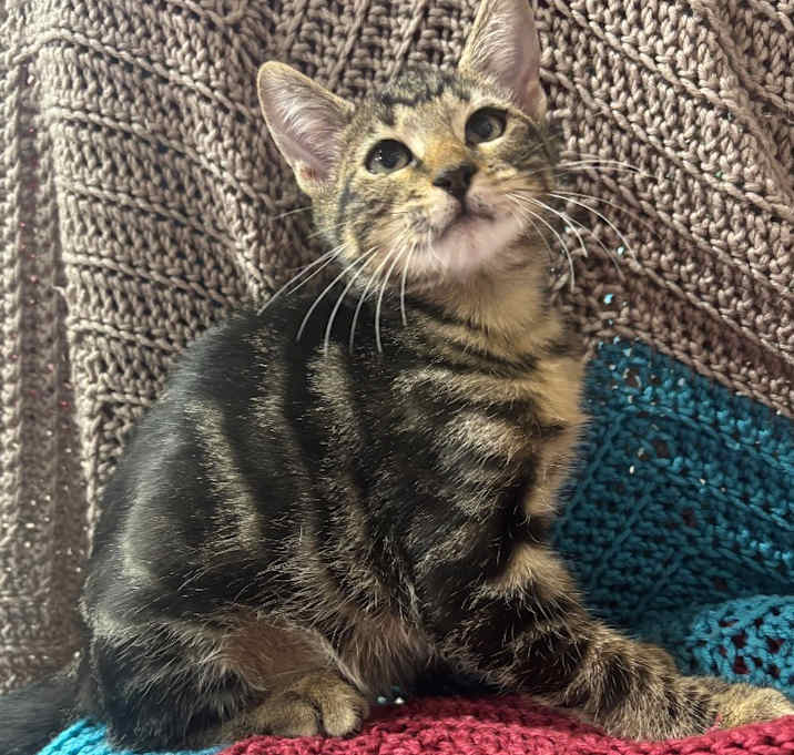 Photo of Mr. Fantastic