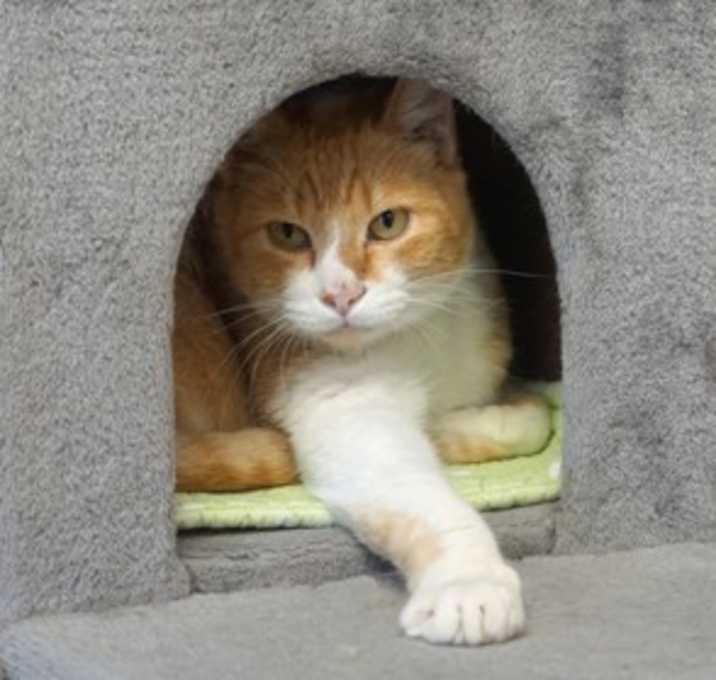 Photo of Duran Duran