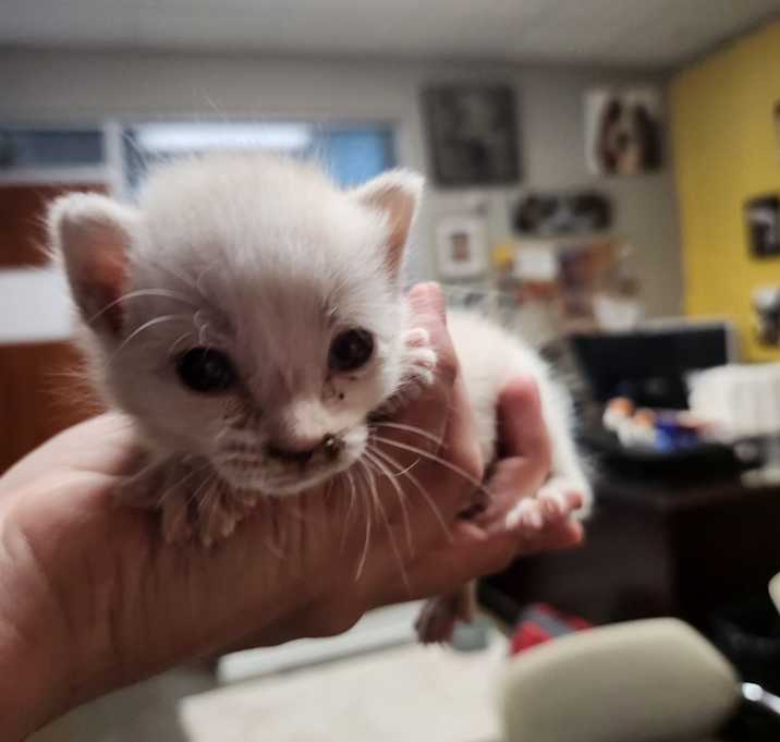 Photo of Jean/PEANUT