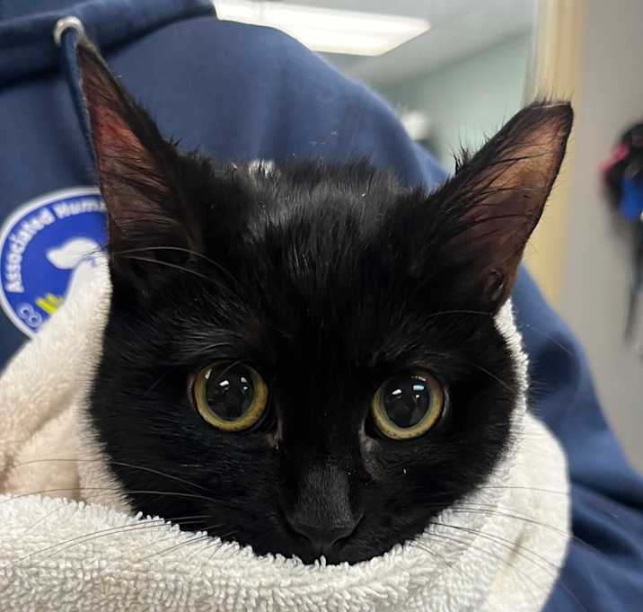 Photo of Darlene(In Foster)