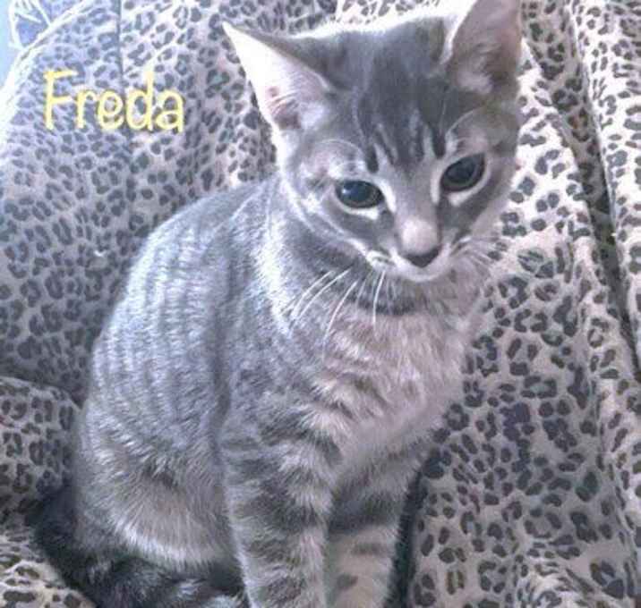Photo of Freda