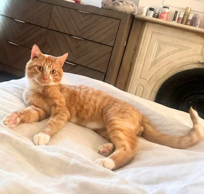 Photo of Rubberband Man