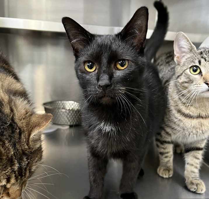 Photo of Wallace Wells