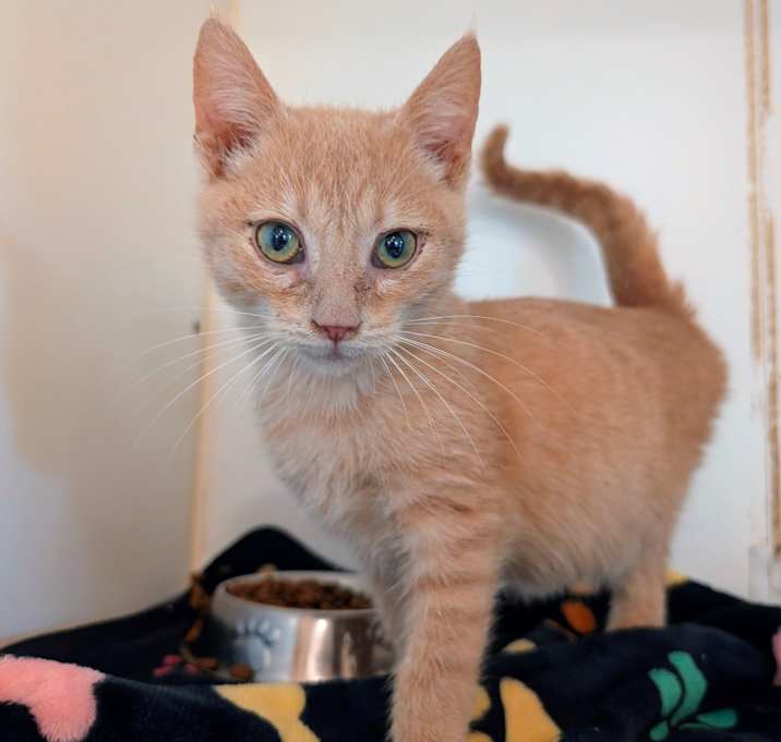 Photo of Jager (C000-726)-City of Industry