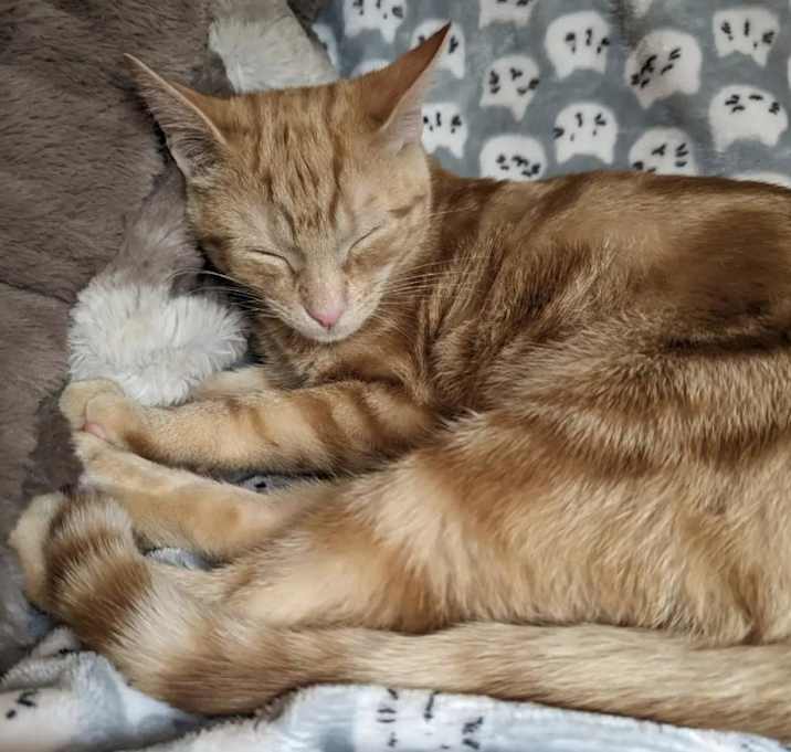 Photo of Will Turner